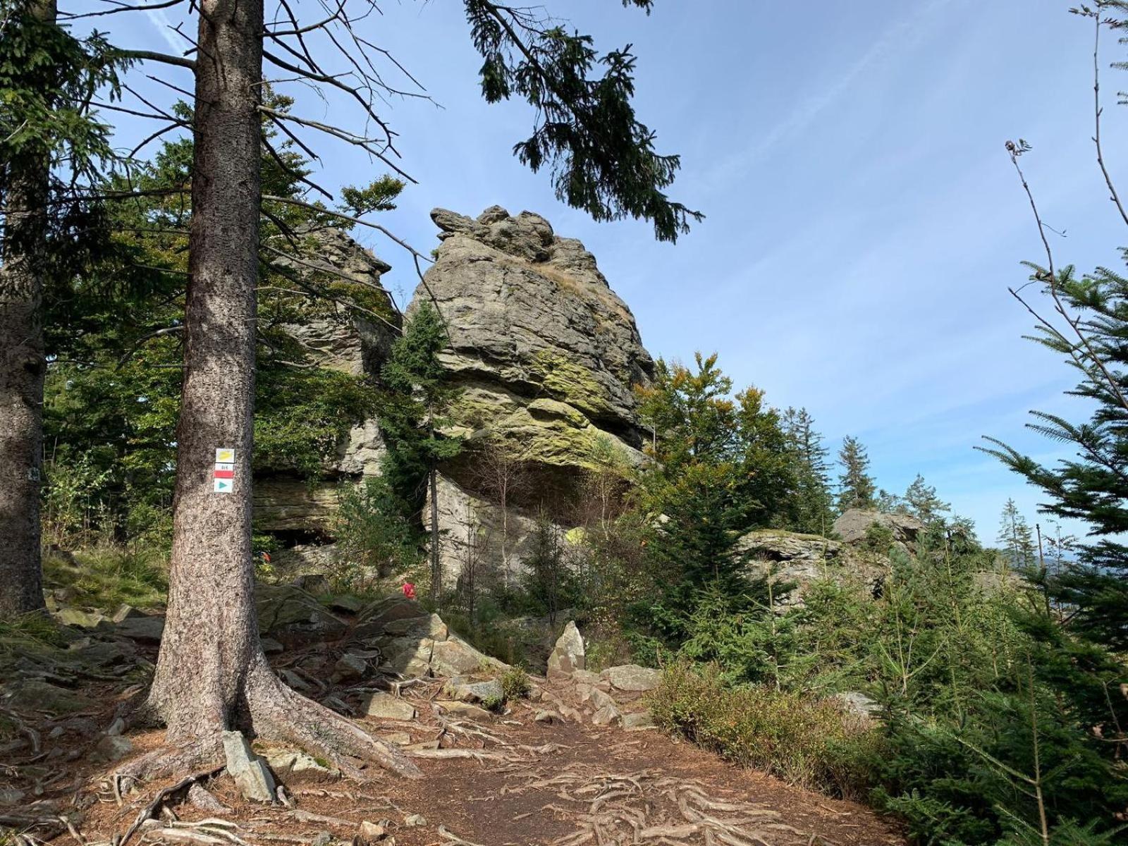 Fewo H.Reusswig Arrach Exterior foto
